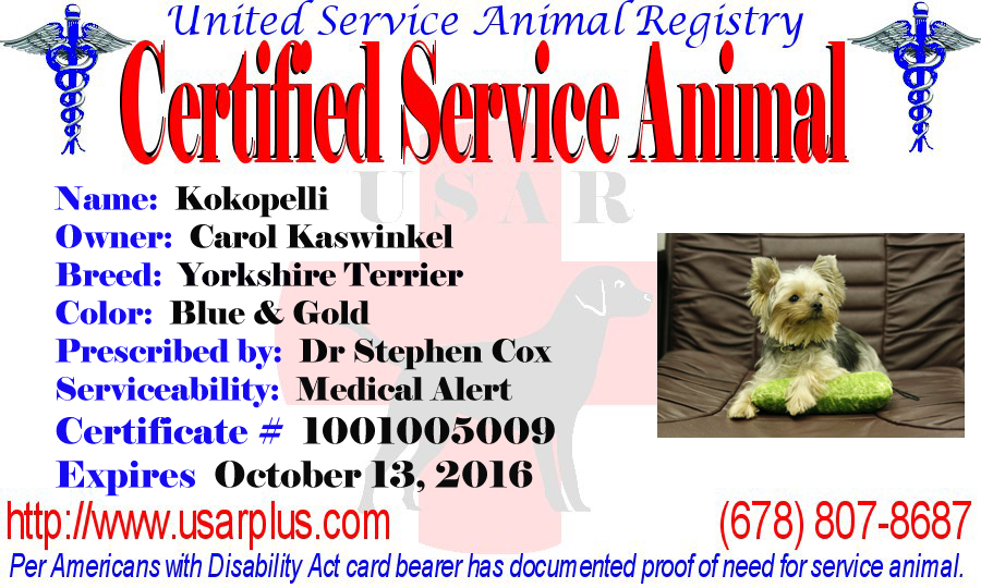 usar service dog registration