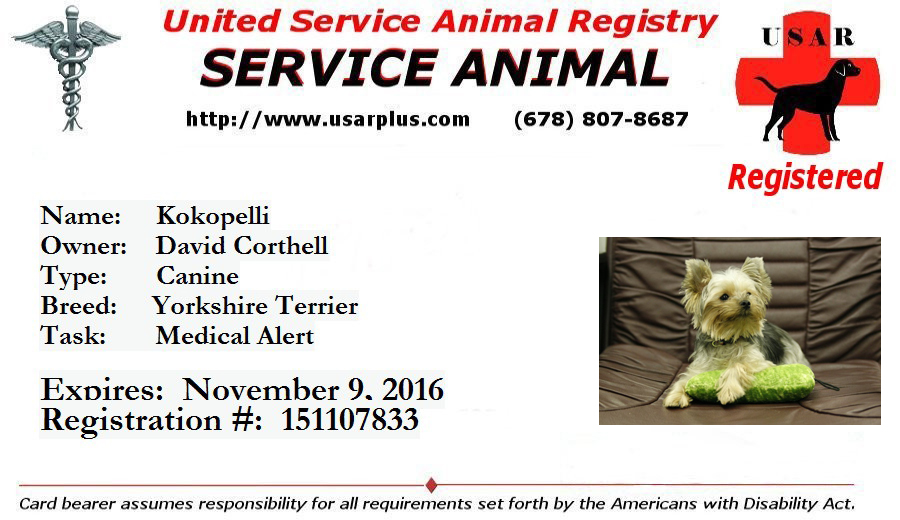 usar service dog registration