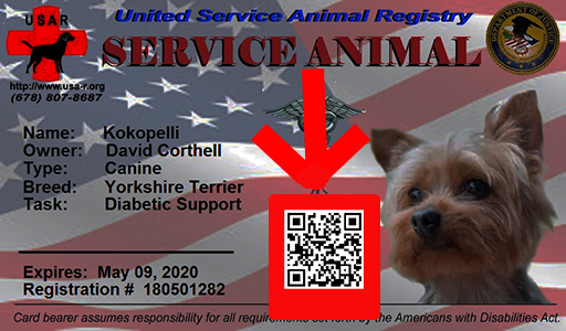 usar service dog