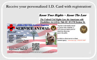 usar service dog registration